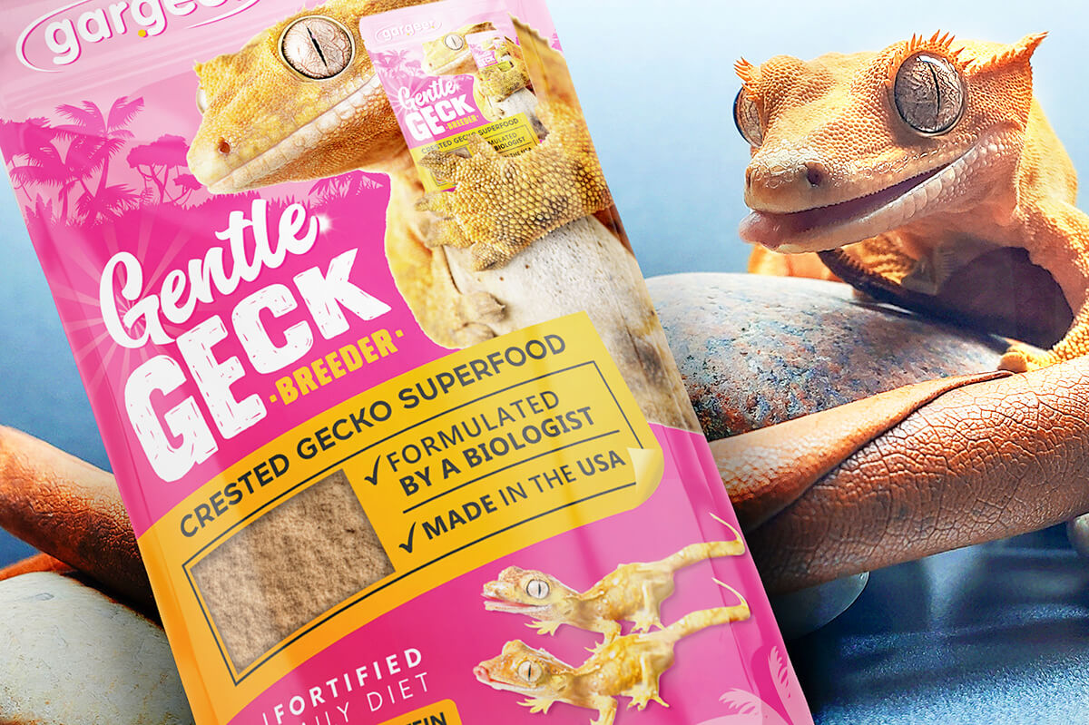 Crested Gecko Breeder flavor