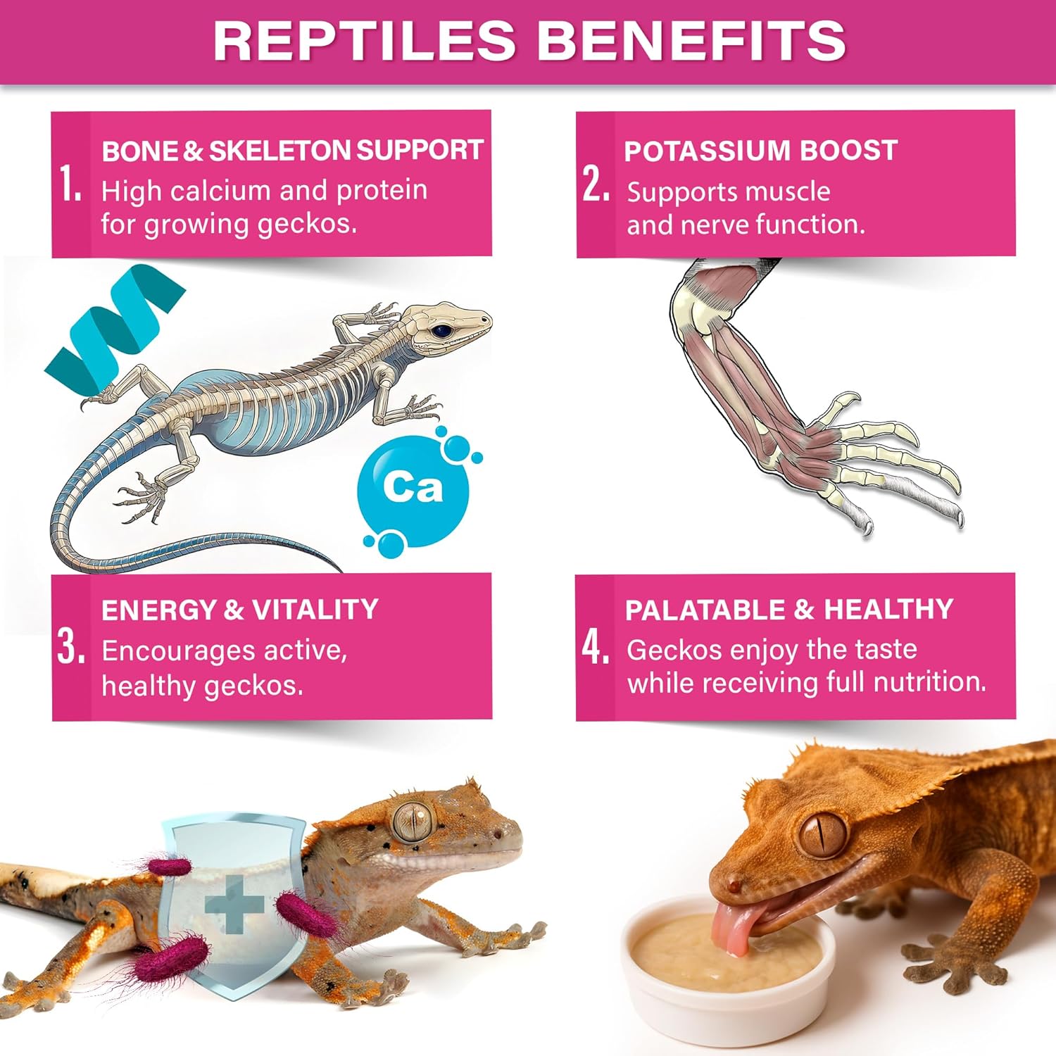 Picky Geck' Growth