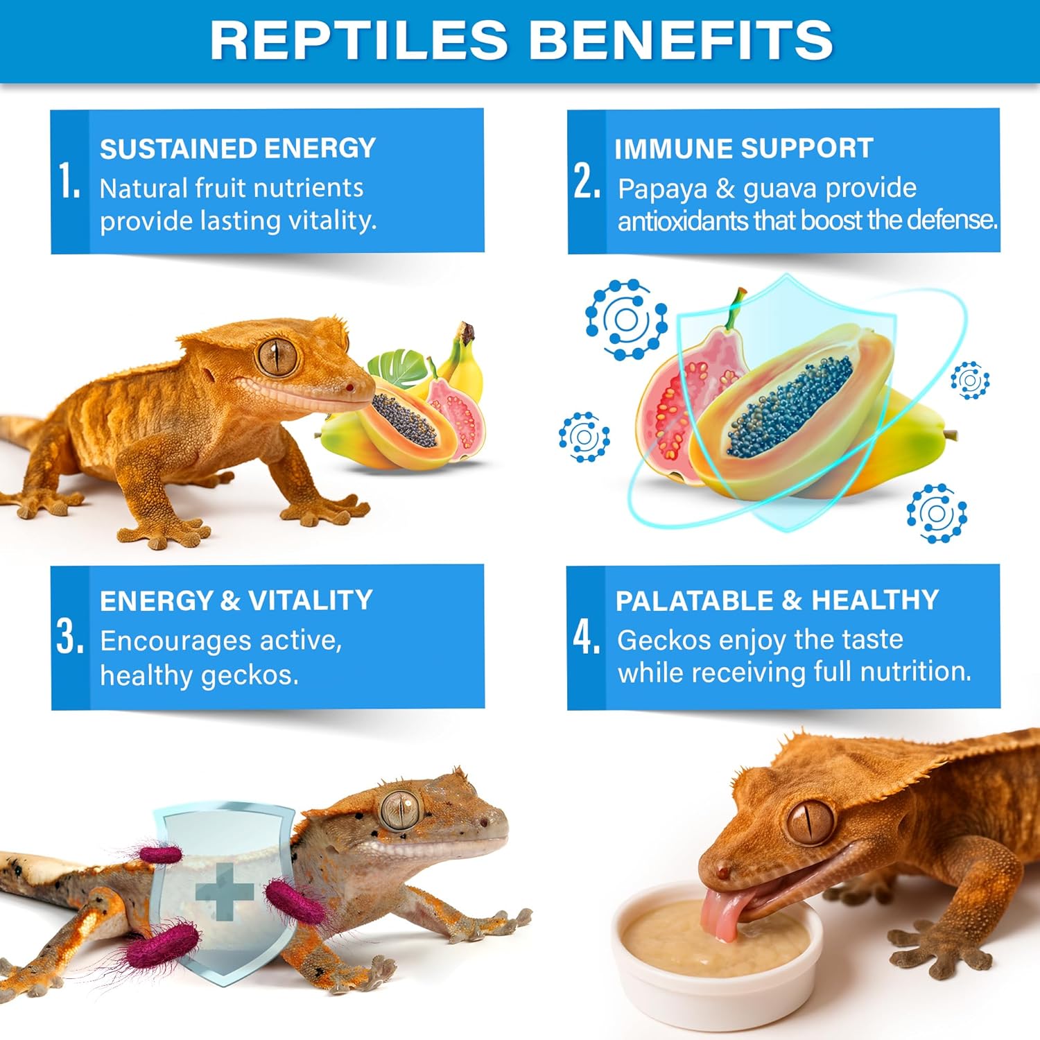 Picky Geck' - Island Retreat