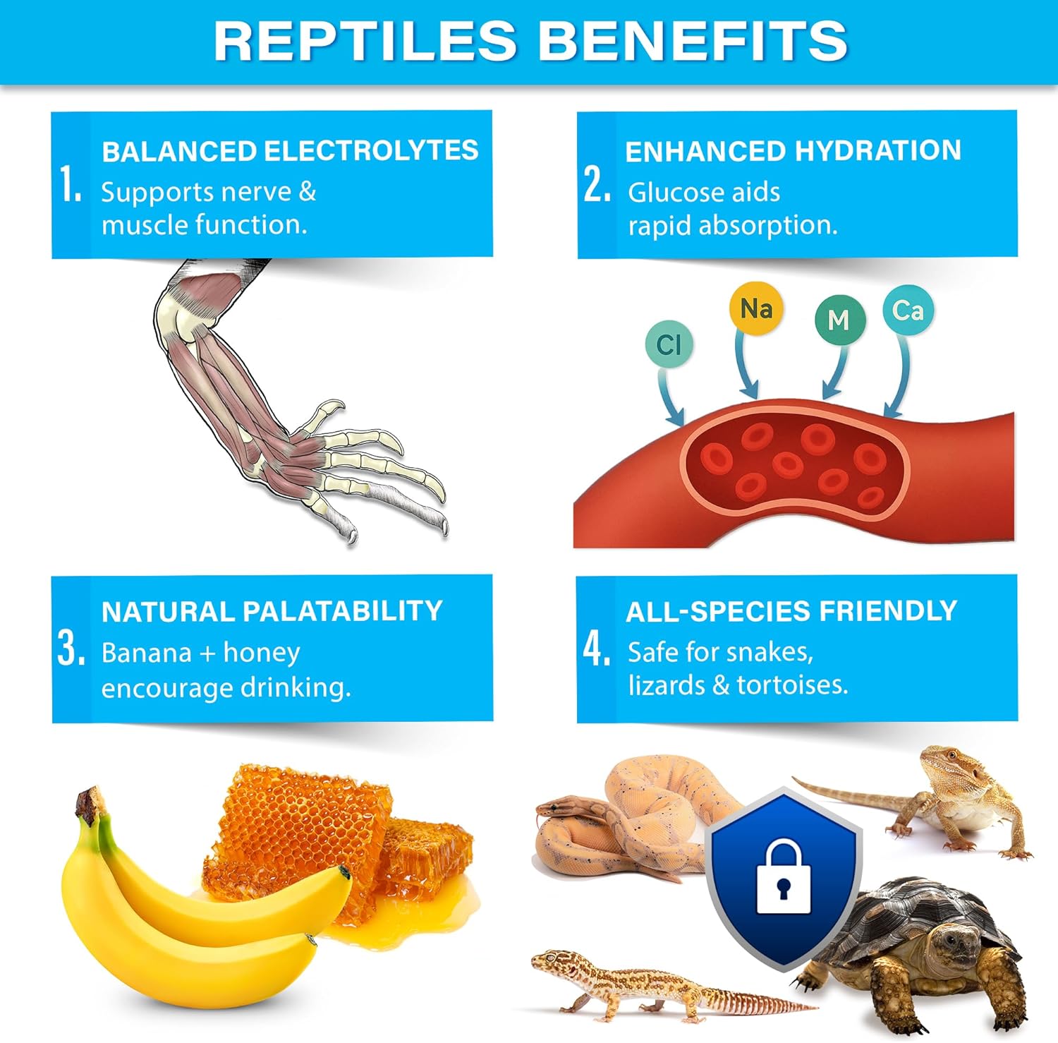 Gargeer 'ReptiLyte' Electrolyte Drink Supplement with Fruit for Reptiles | Hydration & Palatability Boost | Bearded Dragons, Geckos, Lizards, Tortoises | Made in USA. Enjoy!