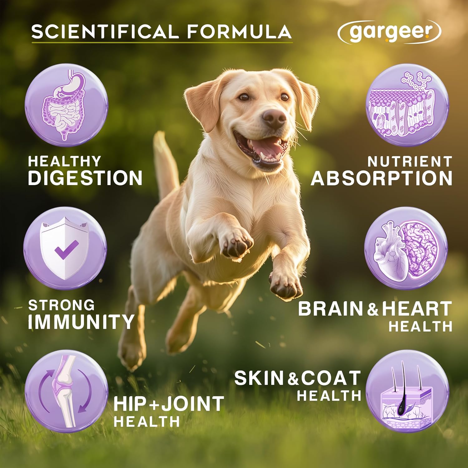 Gargeer Dog Multivitamin 21-in-1 Chews for Dogs. Rich with Fatty Acids & Antioxidants. Supports Healthy Gut, Mobility & Immune System. for Seniors and Puppies – 60 Soft Chews, Made in The USA, Enjoy!