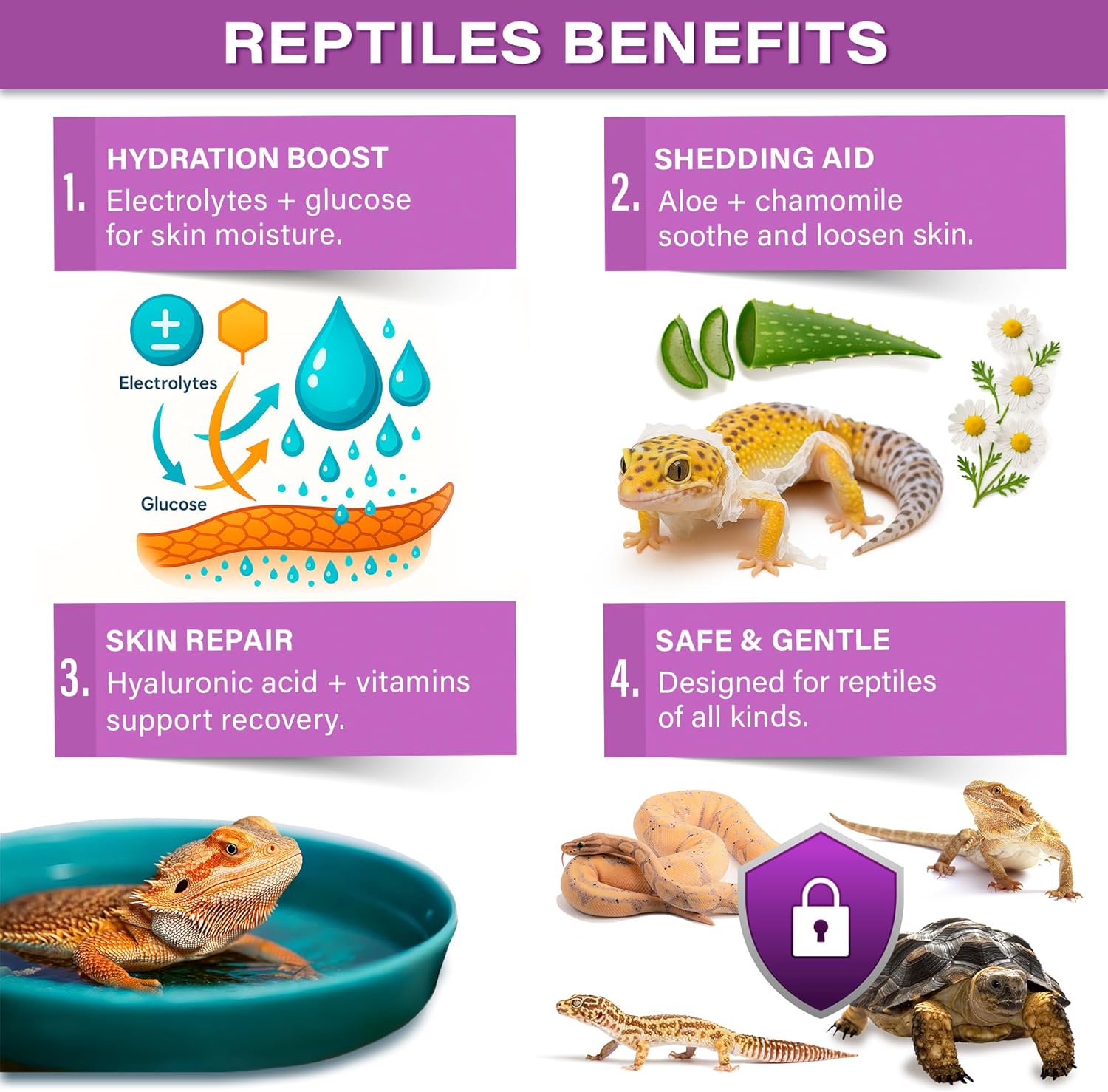 Gargeer 'ReptiShed' Shedding Aid Soak Powder for Reptiles | Stuck Shed Remover for Dragons, Geckos, Lizards, Snakes | Aloe, Chamomile, Hyaluronic Acid | Bath Supplement | Made in The USA. Enjoy!