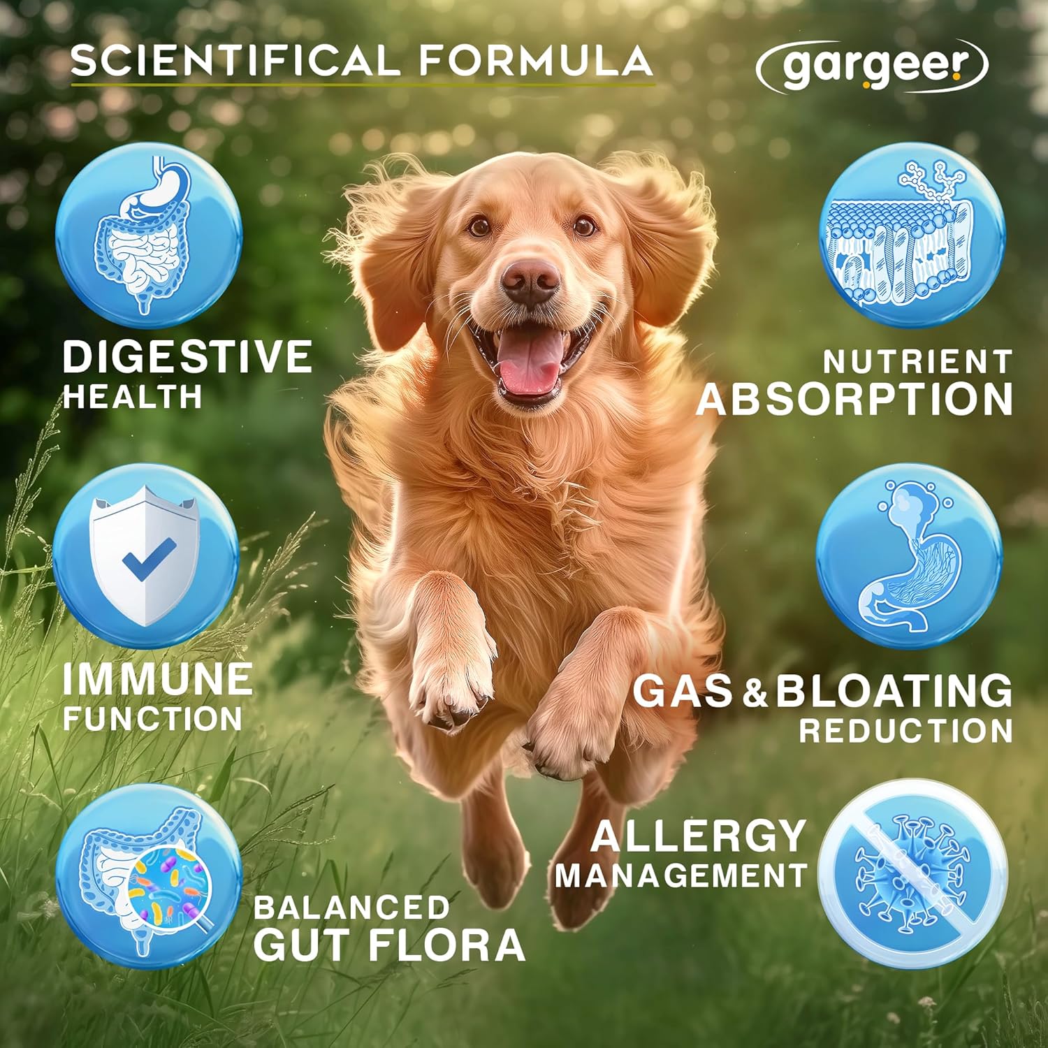 Gargeer Daily Probiotics & Prebiotics for Dogs. Supports Healthy Digestion, Gut Flora & Proper Immune System. for All Dog Breeds & Ages, 60 Delicious Duck Flavored Soft Chews. Made in The USA. Enjoy!