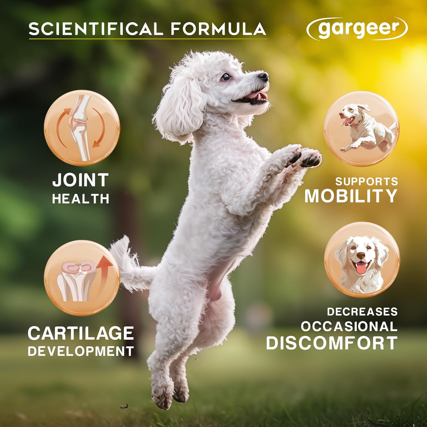 Gargeer Hip & Joint Mobility Health Supplement. Rich with Natural Glucosamine, MSM and Green Lipped Mussel. Vet Created - For All Dog Breeds & Ages. 160 Duck Flavor Soft Chews. Made in the USA. Enjoy!