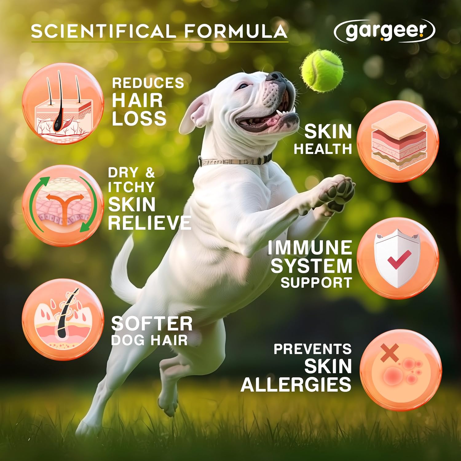 Gargeer Shiny Coat Omega 3-6-9 Supplement. Itchy Skin Relief & Seasonal Allergies Support. Packed with Fatty Acids for Skin & Coat Defense. USA Vet Created - Vegetable Flavor – 120 Soft Chews. Enjoy!