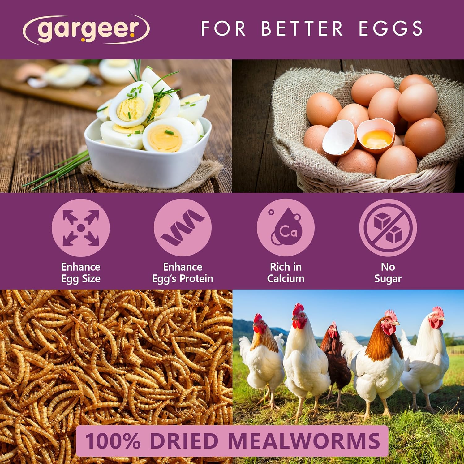 Gargeer Dried Mealworms, 5LB of High Appealing Protein Content, Low Waste, Year-Round Nutrient-Dense Food Source. No Artificial Additives or Processing, No Sugar, with Lower Risk of Choking. Enjoy!