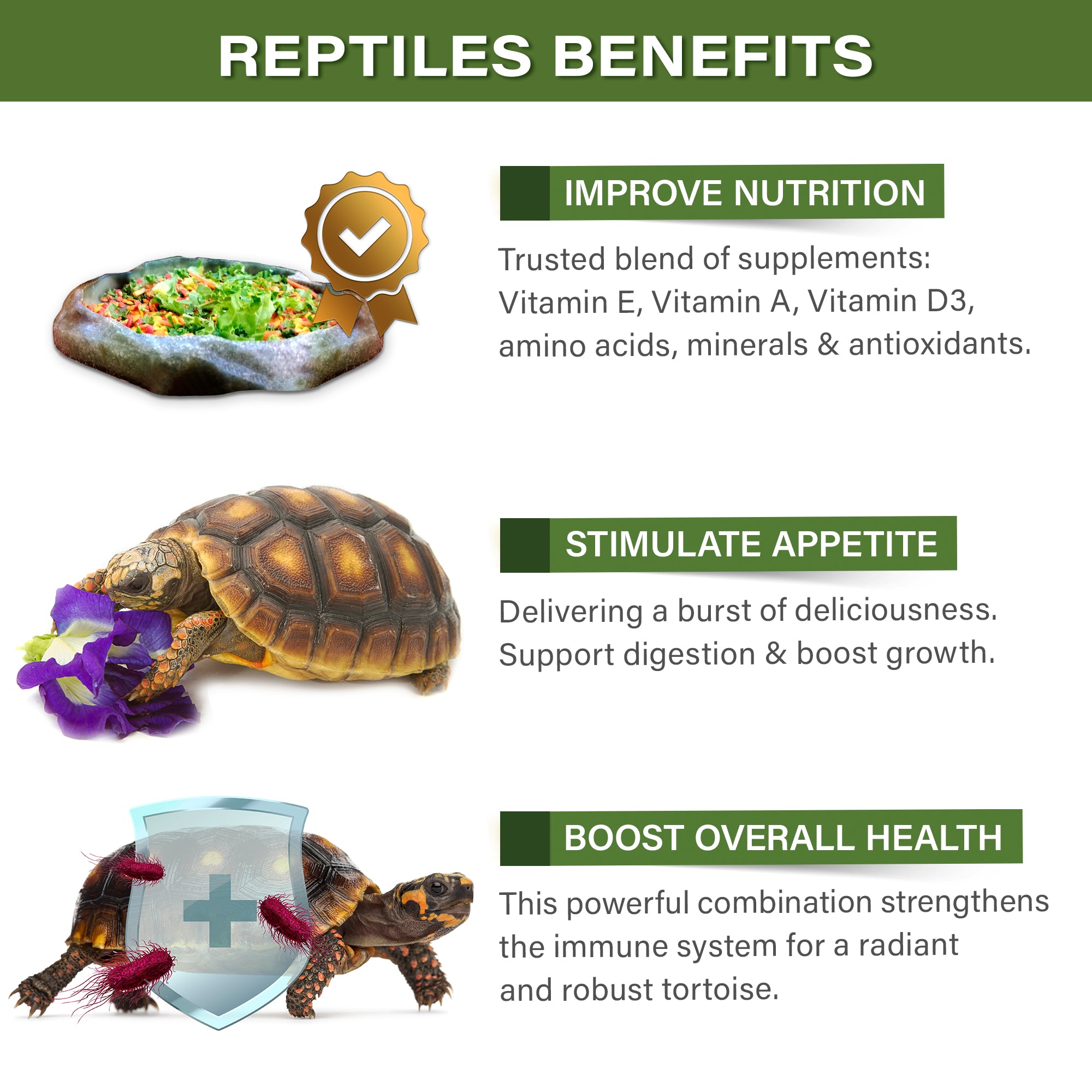 Gargeer Forest Tortoise Salad Topper: Supercharge Healthy Diet Supplement - Essential Nutrition Care Blend for Strength & Robust Immune System in Juveniles & Adults. 2oz
