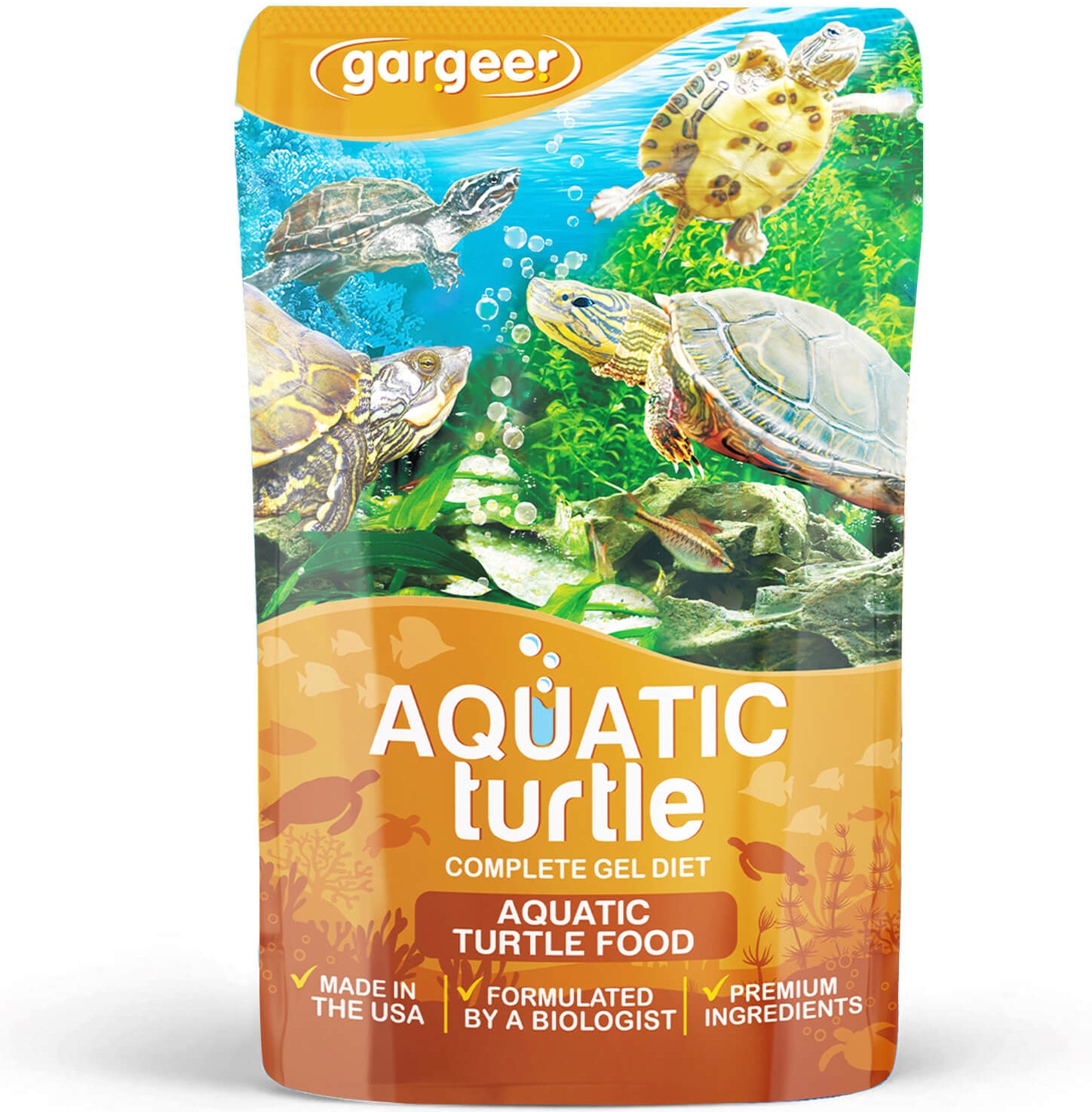 Aquatic Turtle