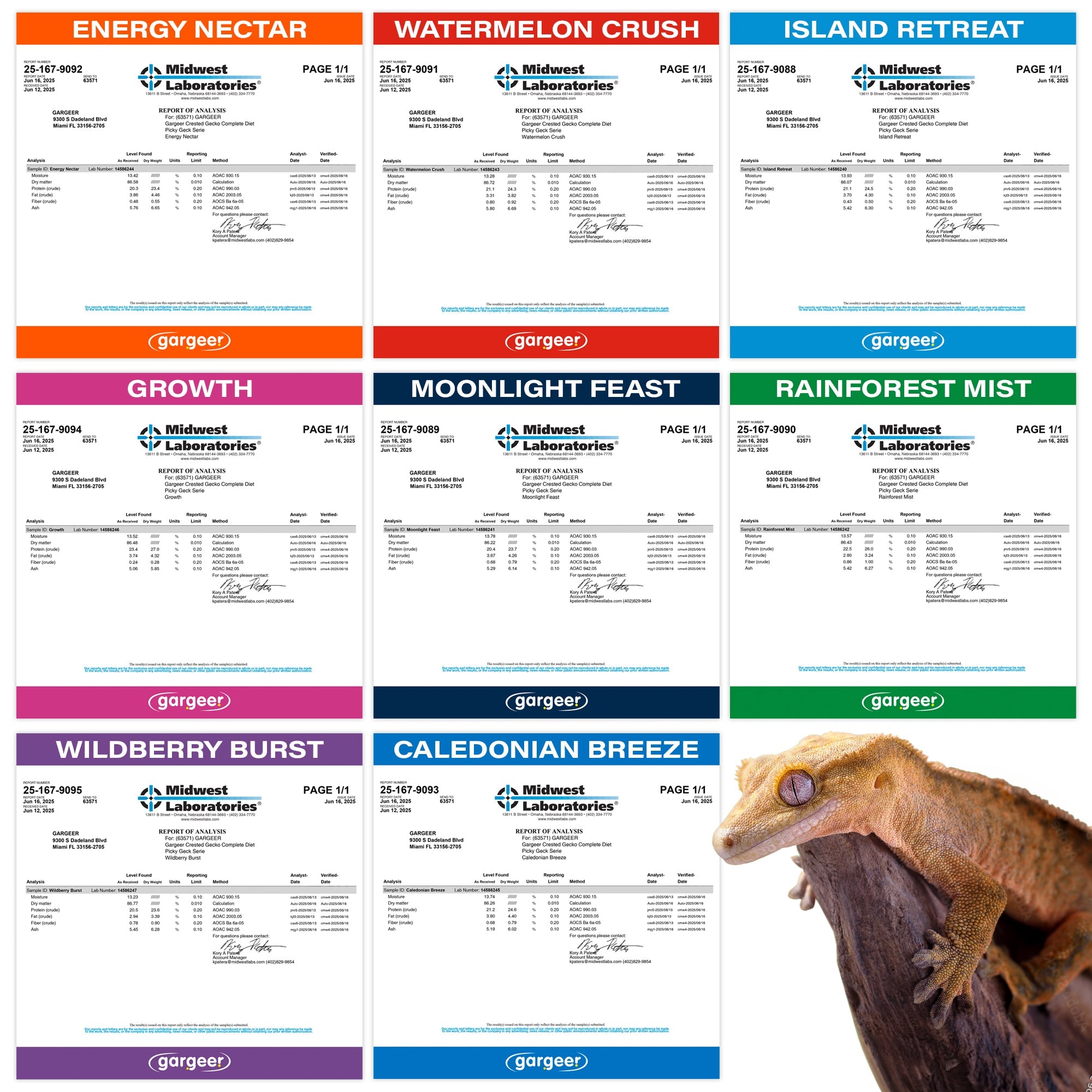 Picky Geck' - 8 Flavors Discovery Kit