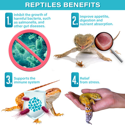 Gargeer Reptile Probiotics