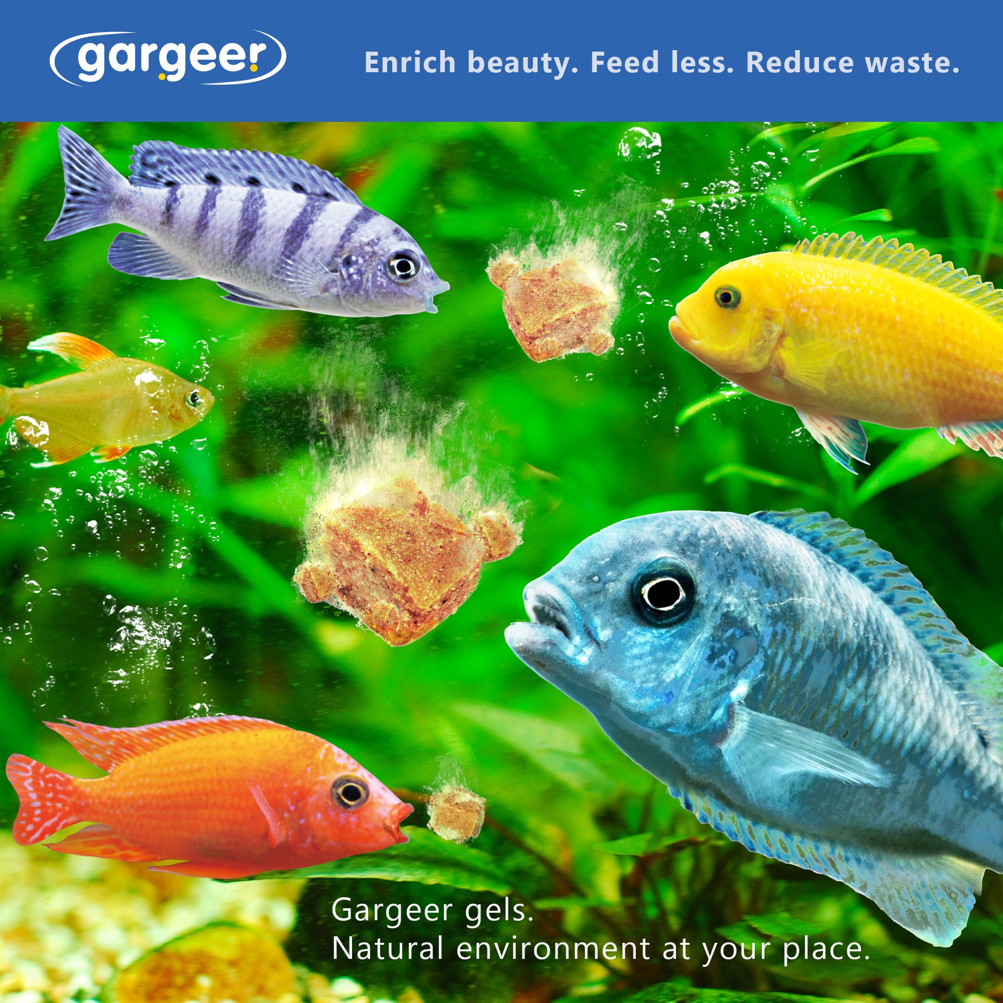 Gargeer African Cichlid Fish Food