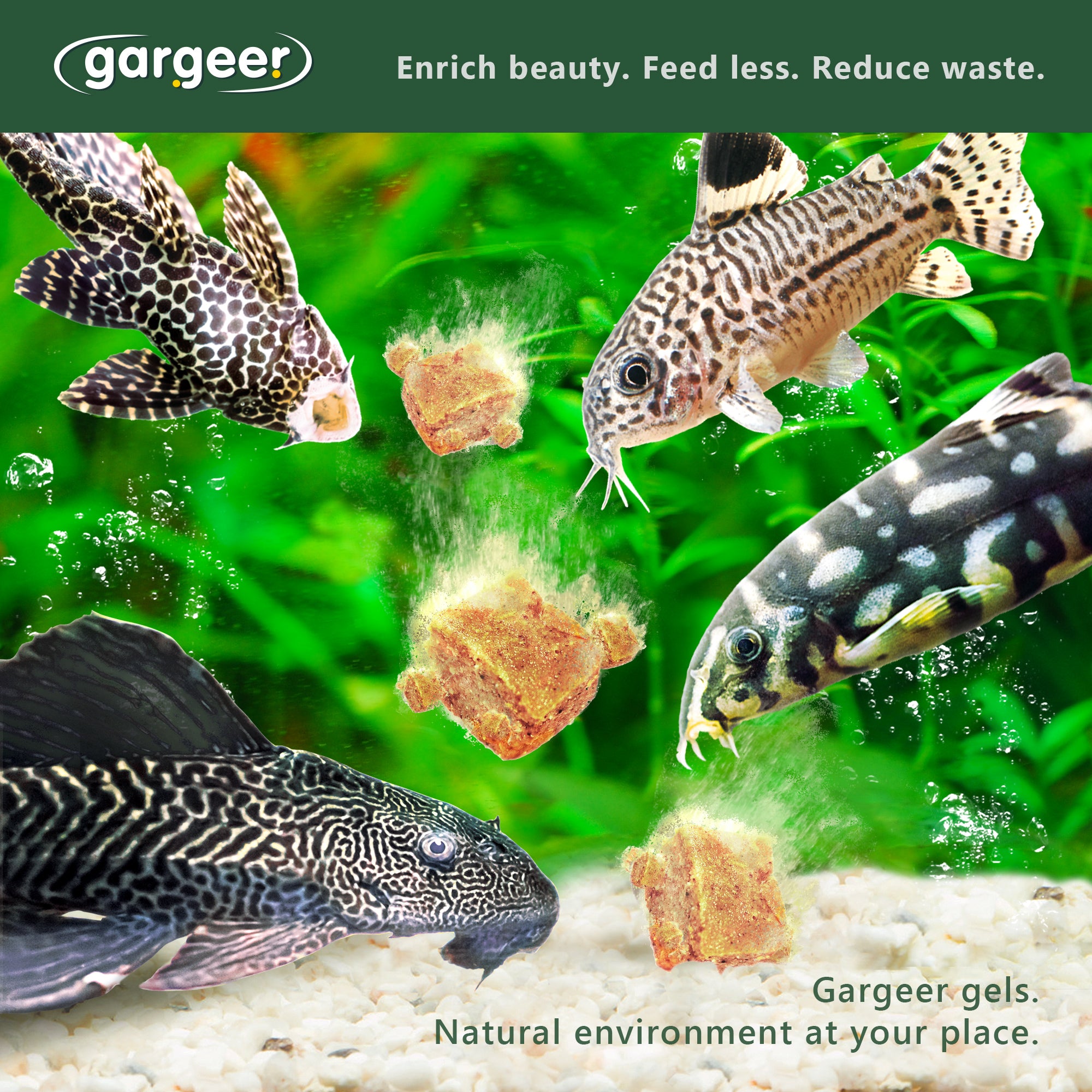 Gargeer 3oz Bottom Dweller Fish Food