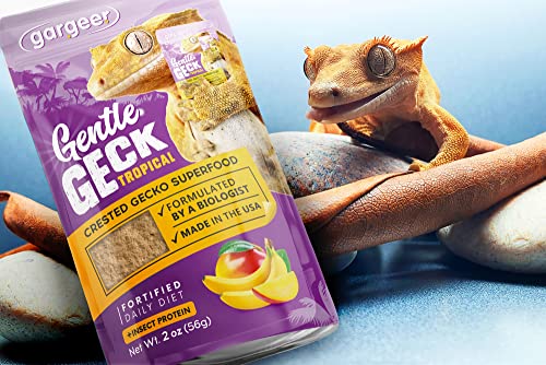 Complete Crested Gecko Food Diet Tropical
