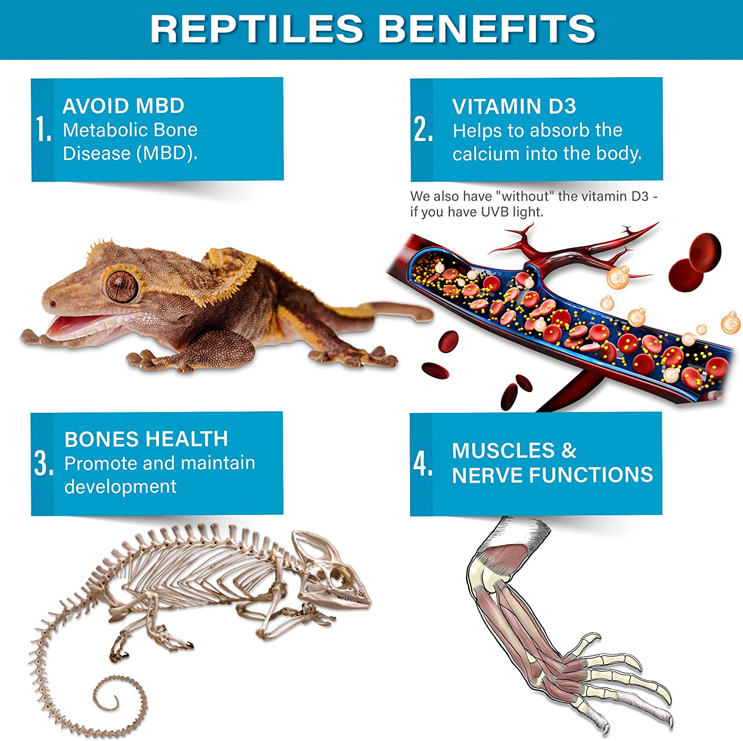 Gargeer 4oz All Reptile Calcium Powder, Phosphorus-Free Ultrafine Powder, Pure Dust With or Without Vitamin D3, Ready to Use for All Reptiles, Lizards & Amphibians Supplement