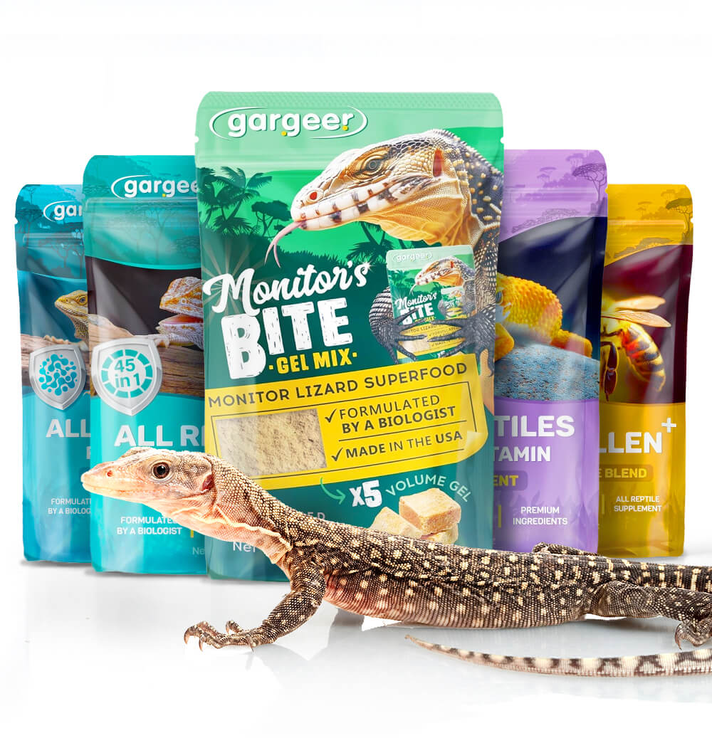 Monitor Lizard