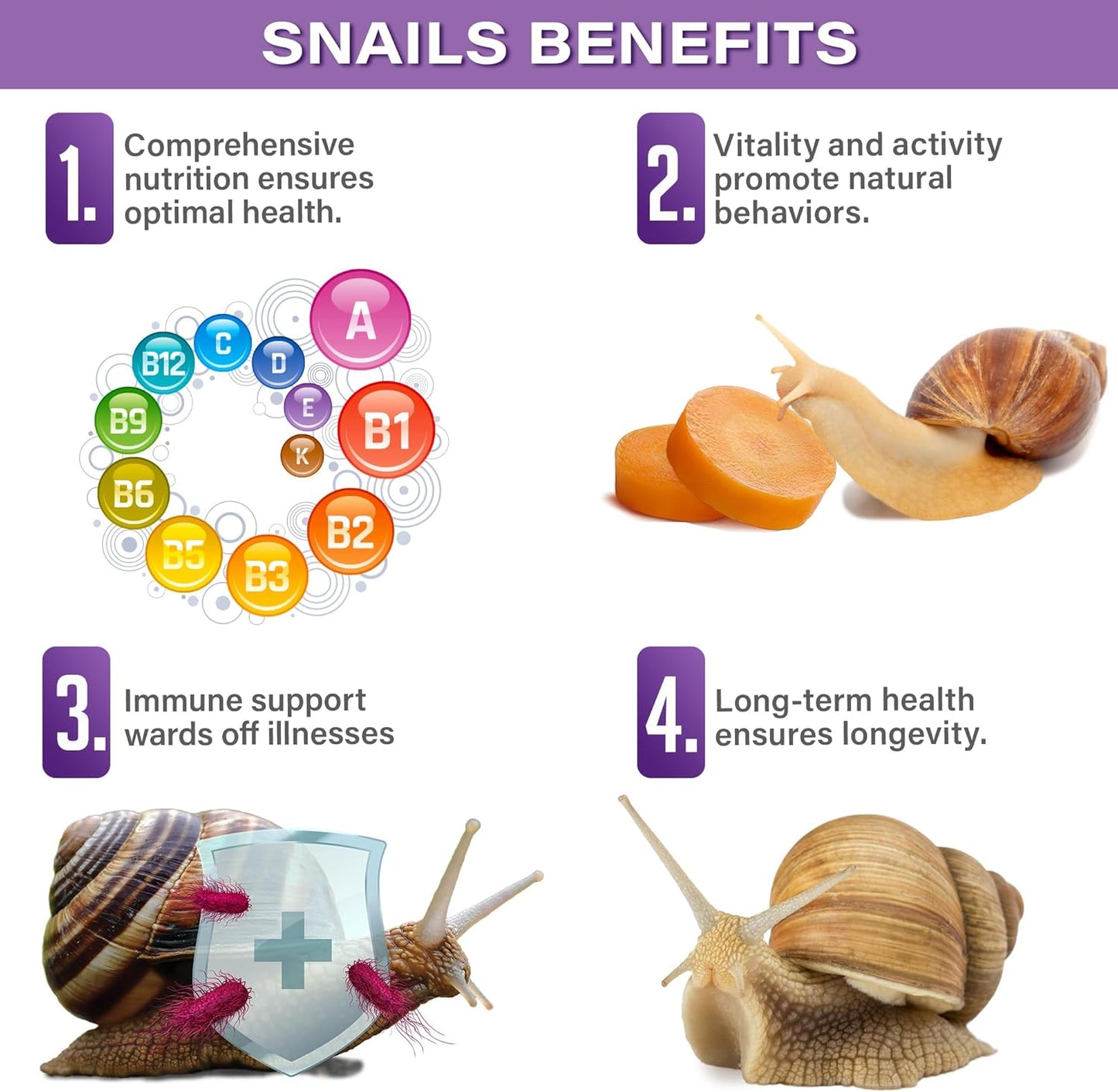 2oz Land Snail Veggie Complete Diet. Nutritious, Balanced, and Safe Non-GMO, No Ethoxyquin or Copper Sulfate Food Option. They’ll Live Long and Prosper. Proudly Made in The USA. Enjoy!