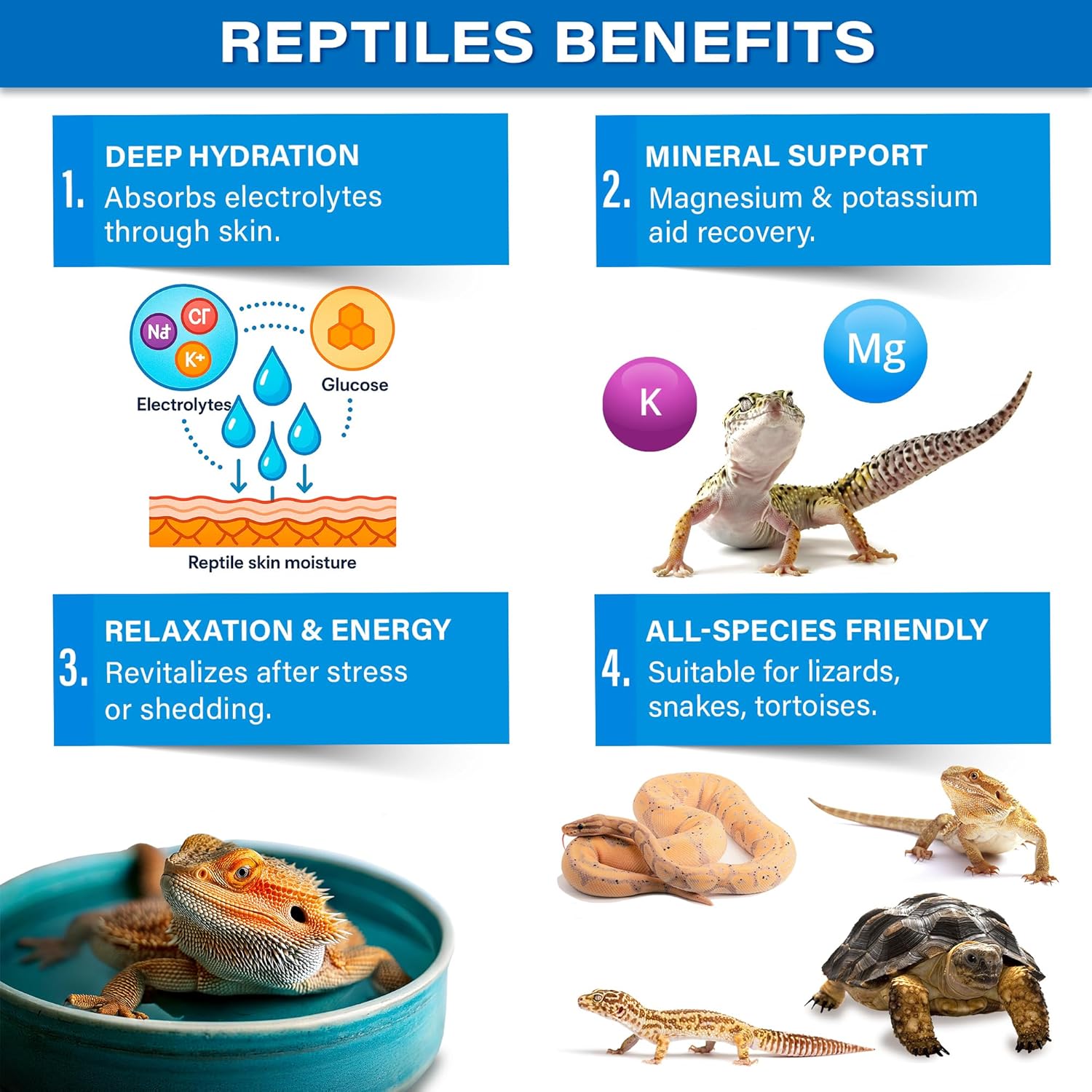 Gargeer Premium ReptiSoak Electrolytes SOAK for Reptiles | Hydration & Recovery Bath Powder for Bearded Dragons, Geckos, Lizards, Tortoises | Electrolyte Reptile Supplement | Made in USA. Enjoy!