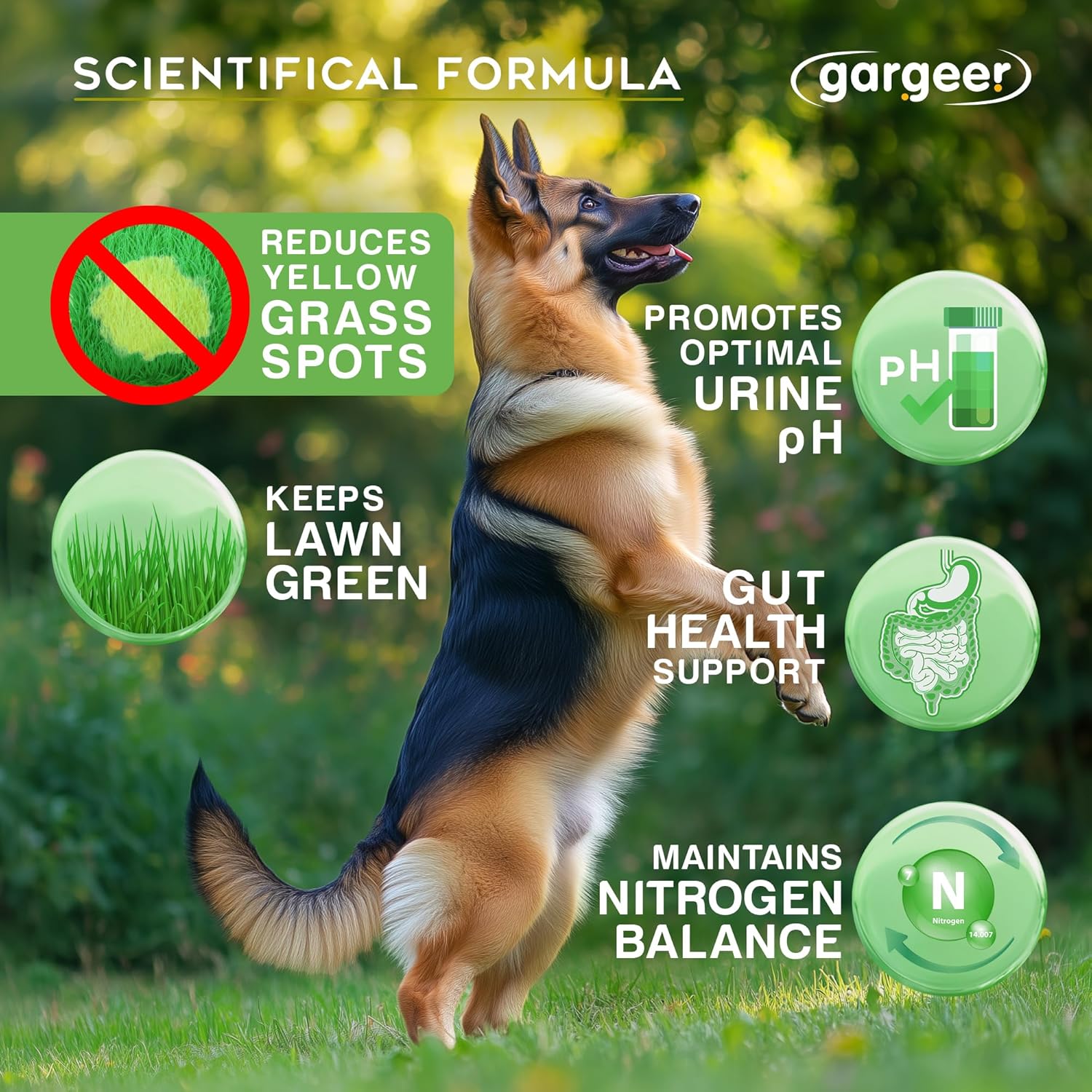 Gargeer Lawn Saver Chews for All Dog Breeds and Ages. Protect Your Grass with Balanced Urine Ammonia and Nitrogen Levels. Vet Created - 150 Duck Flavored Soft Chews. Made in The USA. Enjoy!