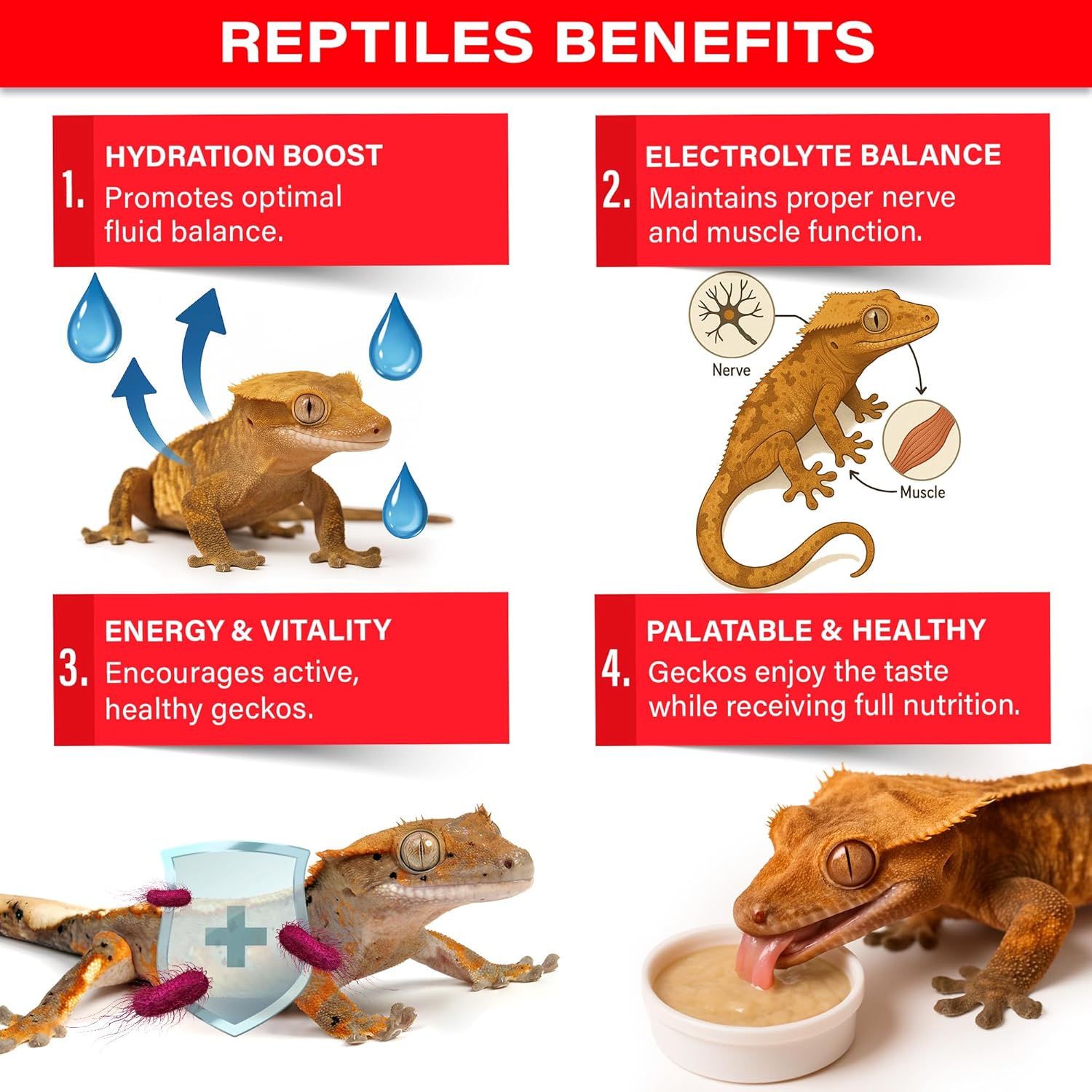 Gargeer 'Picky Geck' Watermelon Crush - Premium Crested Gecko Food | Hydration & Circulation Support with Bee Pollen & Coconut | No Fillers - Only Premium Ingredients | 2oz | Made in USA. Enjoy!