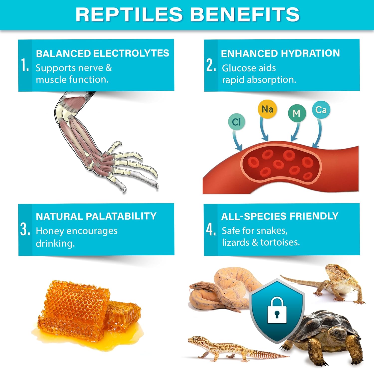 ReptiLyte Premium Electrolyte Drink Supplement for Reptiles | Daily Hydration & Wellness Support | Bearded Dragons, Geckos, Lizards, Tortoises, Snakes | 3.5oz | Made in USA. Enjoy!