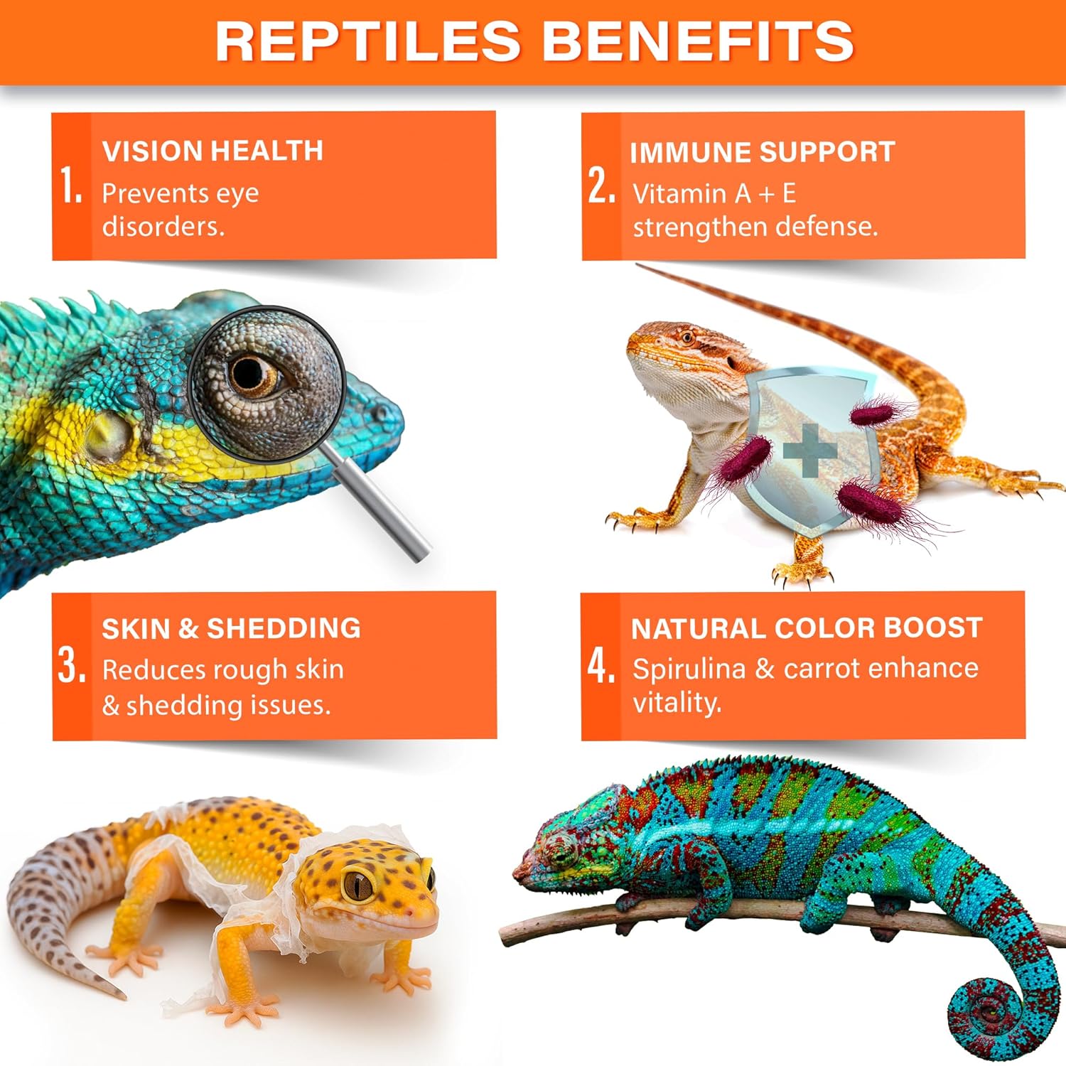 'Vitamin A Plus' Supplement for Reptiles | Retinyl Palmitate + Beta-Carotene | Supports Vision, Skin, Immune & Vitality | Geckos, Dragons, Tortoises, Turtles, Snakes | 3oz | Made in USA. Enjoy!