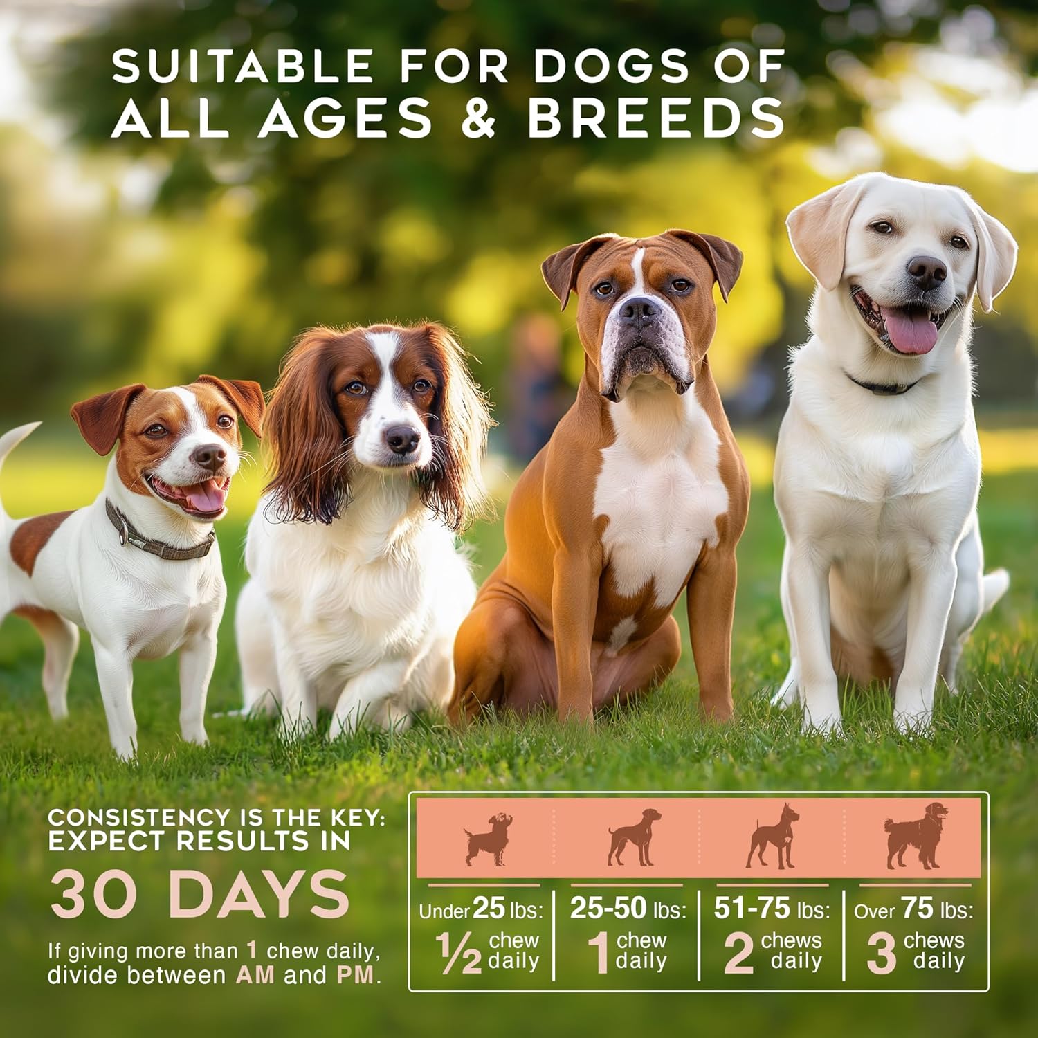 Gargeer Shiny Coat Omega 3-6-9 Supplement. Itchy Skin Relief & Seasonal Allergies Support. Packed with Fatty Acids for Skin & Coat Defense. USA Vet Created - Vegetable Flavor – 120 Soft Chews. Enjoy!