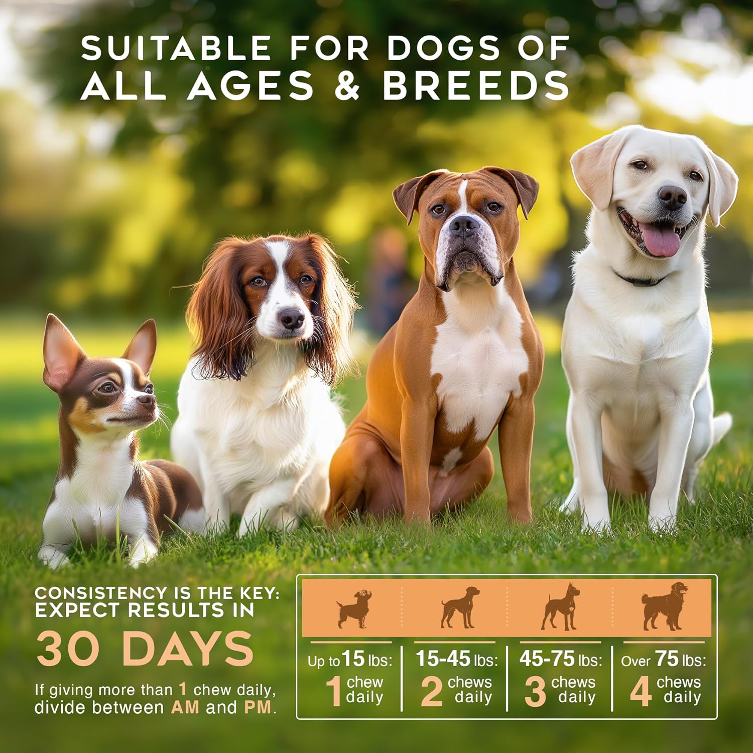 Gargeer Hip & Joint Mobility Health Supplement. Rich with Natural Glucosamine, MSM and Green Lipped Mussel. Vet Created - For All Dog Breeds & Ages. 160 Duck Flavor Soft Chews. Made in the USA. Enjoy!