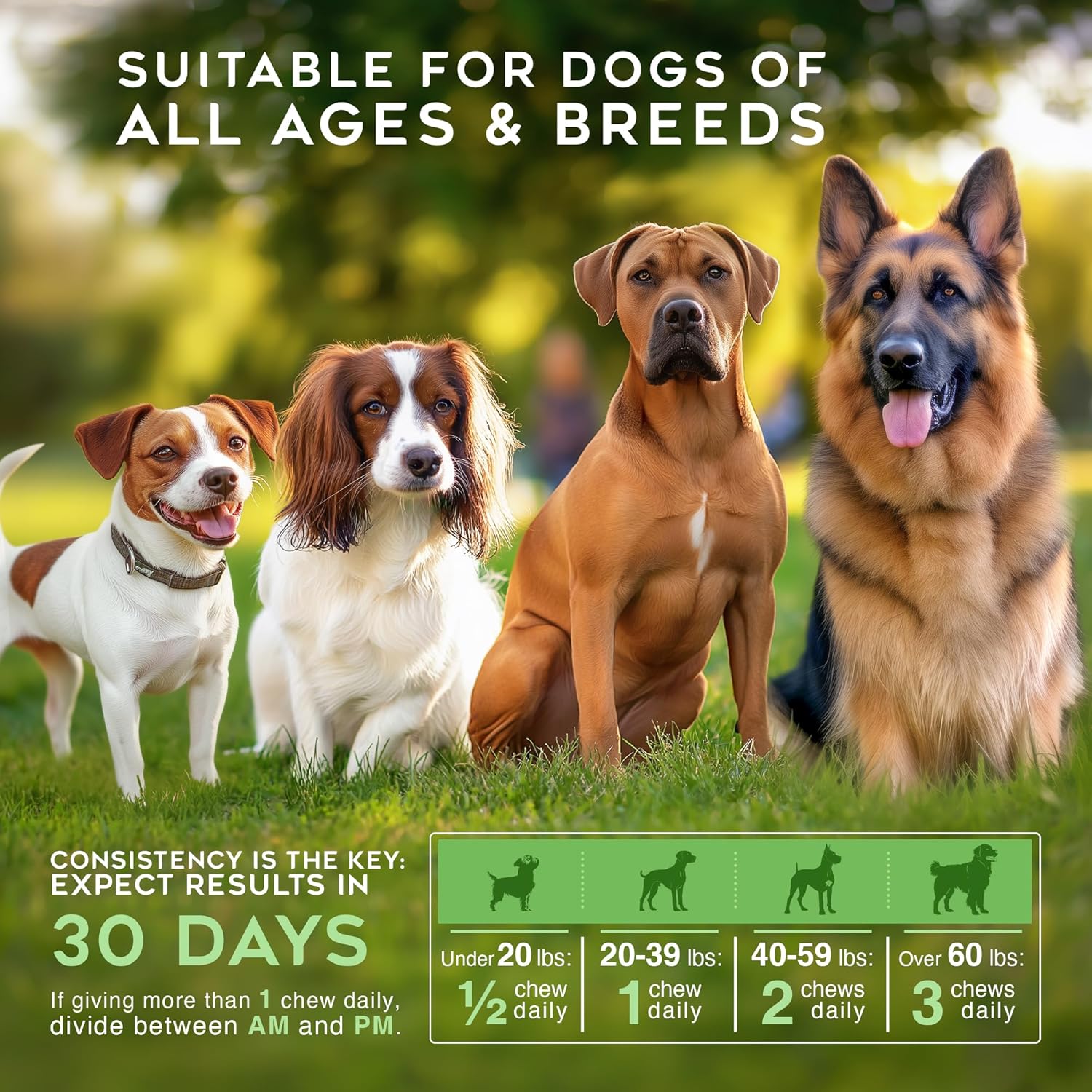 Gargeer Lawn Saver Chews for All Dog Breeds and Ages. Protect Your Grass with Balanced Urine Ammonia and Nitrogen Levels. Vet Created - 150 Duck Flavored Soft Chews. Made in The USA. Enjoy!