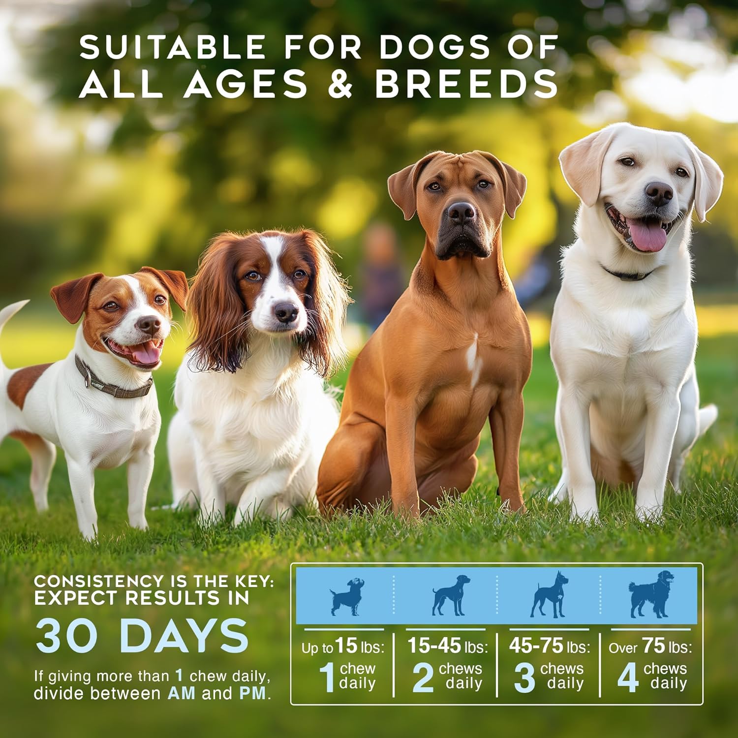 Gargeer Advanced Hip & Joint Support Pro Supplement. Rich with Glucosamine, MSM & Green Lipped Mussel. For All Dog Breeds & Ages. 60 Duck Flavored Chews for Enhanced Mobility. Made in the USA, Enjoy !