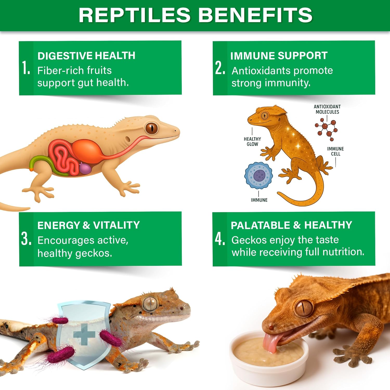 Gargeer 'Picky Geck' Rainforest Mist - Premium Crested Gecko Food | Immune & Digestion Support with Banana, Papaya, Fig & Blueberry | No Fillers - Only Premium Ingredients | 2oz | Made in USA. Enjoy!