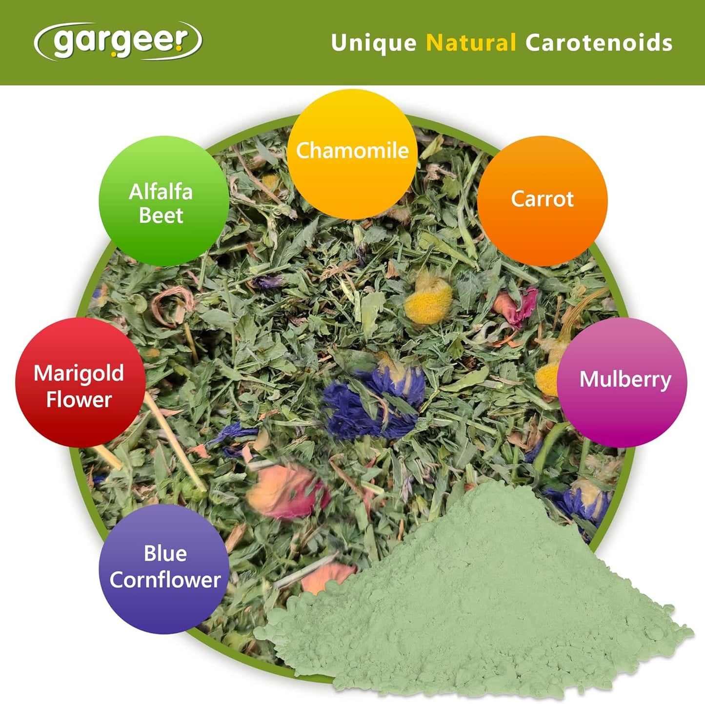 Gargeer All Reptiles Color Enhancer. Magnify Vibrant Colors, and Boost Health with Much Needed Minerals and Vitamins