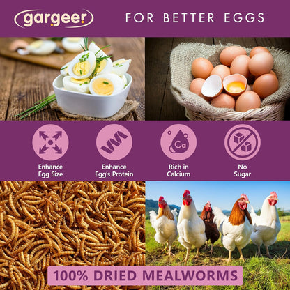 Gargeer Dried Mealworms, 10LB of High Appealing Protein Content, Low Waste, Year-Round Nutrient-Dense Food Source. No Artificial Additives or Processing, No Sugar, with Lower Risk of Choking. Enjoy!