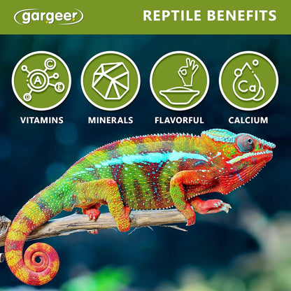 Gargeer All Reptiles Color Enhancer. Magnify Vibrant Colors, and Boost Health with Much Needed Minerals and Vitamins