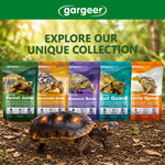 The full tortoise supplements range shown together