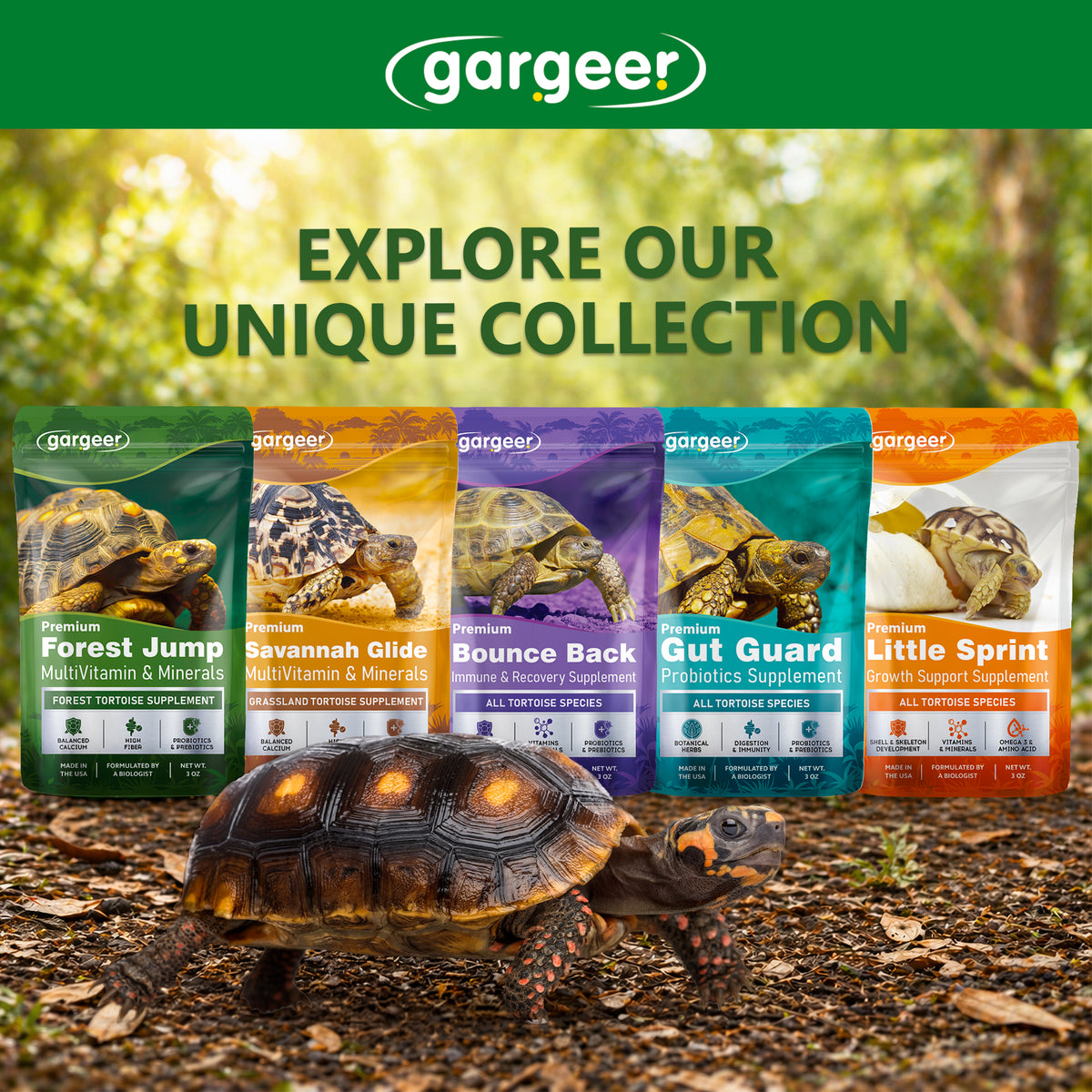 The full tortoise supplements range shown together