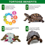 Illustrated chart of the main benefits of the multivitamin and mineral supplement for forest tortoises