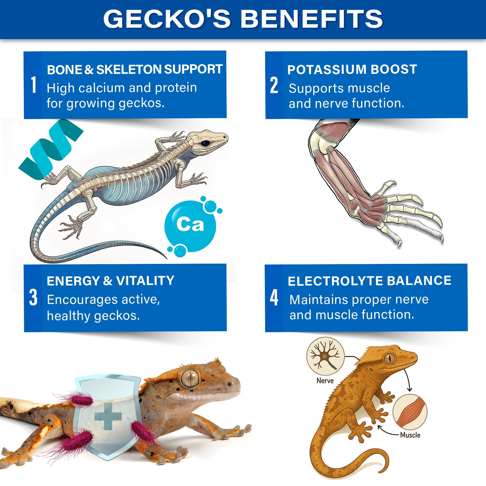Picky Geck' - 8 Flavors Discovery Kit