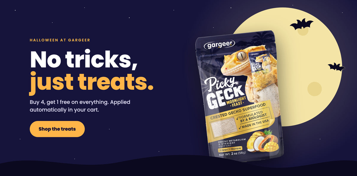 No tricks, just treats. Halloween at Gargeer – buy 4, get 1 free on everything