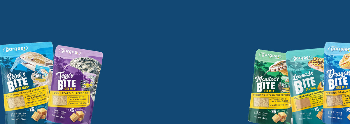 The lizard complete gel diet pouches lined up on a deep blue background