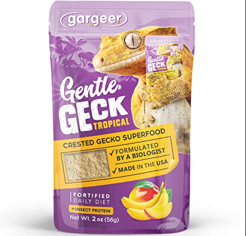 'Gentle Geck' Tropical + Insects